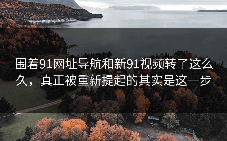 围着91网址导航和新91视频转了这么久，真正被重新提起的其实是这一步